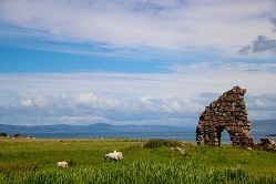 Sheep near Ruin on Isle of Iona Image by Sherry Wilbur from Pixabay