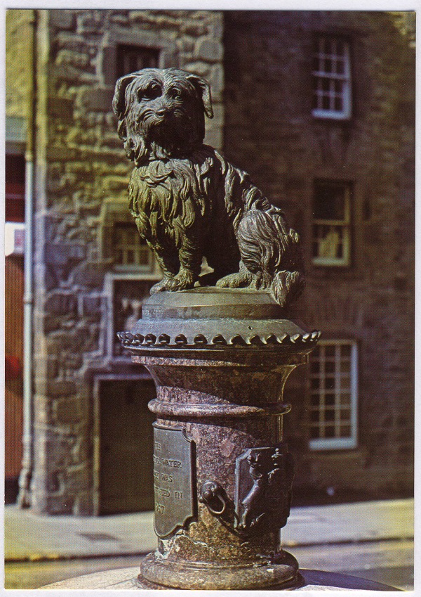 Greyfriars Bobby Faithful Dog from Edinburgh Scotland Postcard